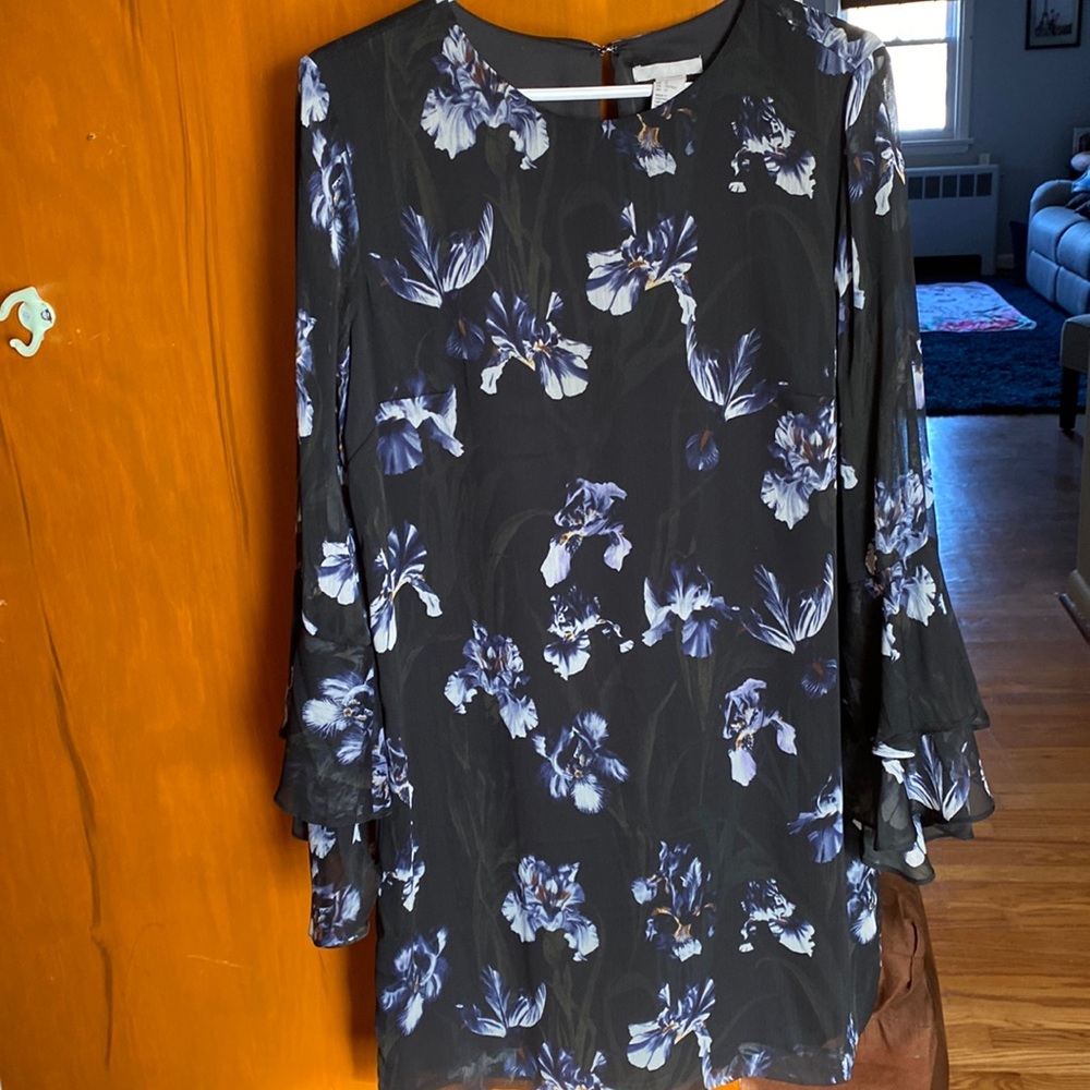 H&M Womens shift dress with flounced long sleeves